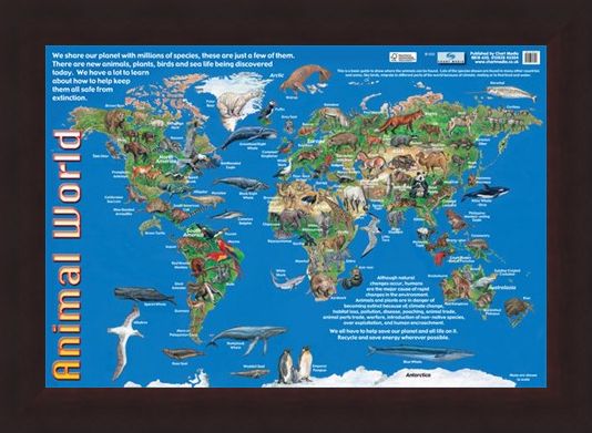Framed Framed Animals of the World - Animal World Map